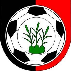 FC Rohr